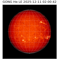 gong - 2025-12-11T02:00:42