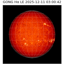 gong - 2025-12-11T03:00:42