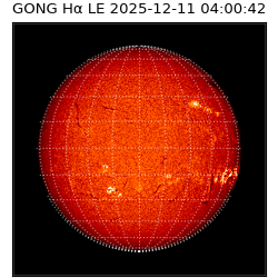 gong - 2025-12-11T04:00:42