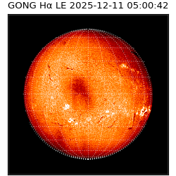 gong - 2025-12-11T05:00:42