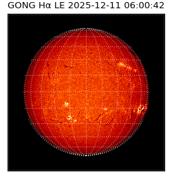 gong - 2025-12-11T06:00:42
