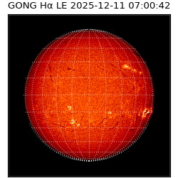 gong - 2025-12-11T07:00:42