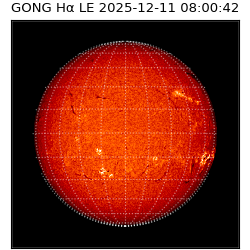 gong - 2025-12-11T08:00:42