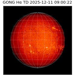 gong - 2025-12-11T09:00:22