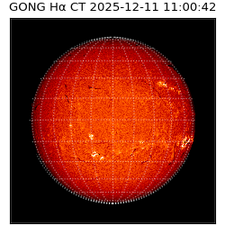 gong - 2025-12-11T11:00:42