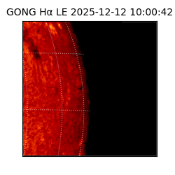 gong - 2025-12-12T10:00:42