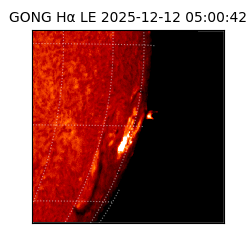 gong - 2025-12-12T05:00:42
