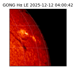 gong - 2025-12-12T04:00:42