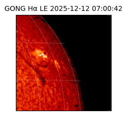 gong - 2025-12-12T07:00:42