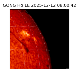 gong - 2025-12-12T08:00:42