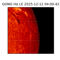 gong - 2025-12-12T04:00:42