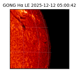 gong - 2025-12-12T05:00:42
