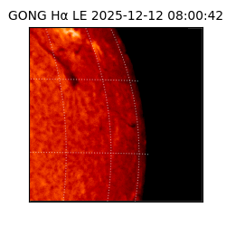 gong - 2025-12-12T08:00:42