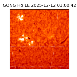 gong - 2025-12-12T01:00:42