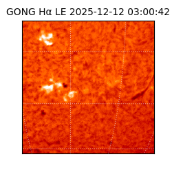 gong - 2025-12-12T03:00:42