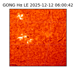 gong - 2025-12-12T06:00:42