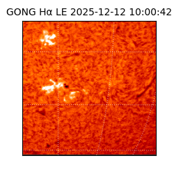 gong - 2025-12-12T10:00:42