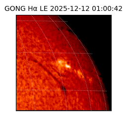 gong - 2025-12-12T01:00:42