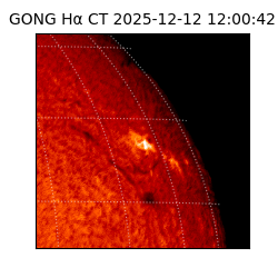 gong - 2025-12-12T12:00:42