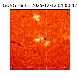 gong - 2025-12-12T04:00:42