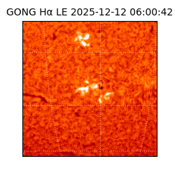 gong - 2025-12-12T06:00:42