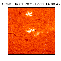 gong - 2025-12-12T14:00:42