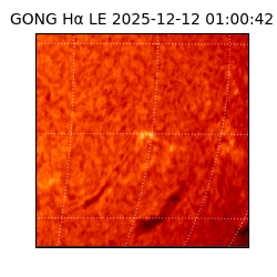 gong - 2025-12-12T01:00:42