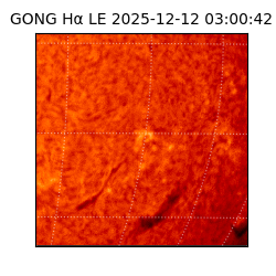 gong - 2025-12-12T03:00:42