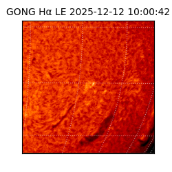 gong - 2025-12-12T10:00:42