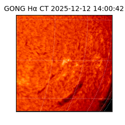 gong - 2025-12-12T14:00:42