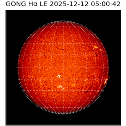 gong - 2025-12-12T05:00:42