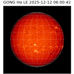 gong - 2025-12-12T06:00:42