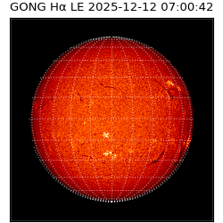 gong - 2025-12-12T07:00:42