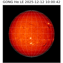 gong - 2025-12-12T10:00:42