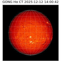 gong - 2025-12-12T14:00:42
