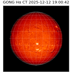 gong - 2025-12-12T19:00:42
