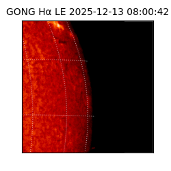 gong - 2025-12-13T08:00:42