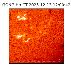 gong - 2025-12-13T12:00:42