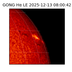 gong - 2025-12-13T08:00:42