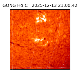 gong - 2025-12-13T21:00:42