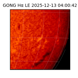 gong - 2025-12-13T04:00:42