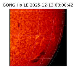 gong - 2025-12-13T08:00:42