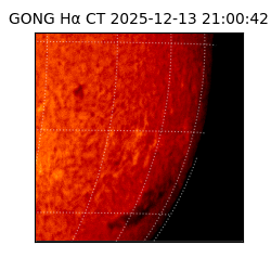 gong - 2025-12-13T21:00:42