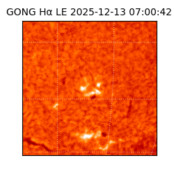 gong - 2025-12-13T07:00:42