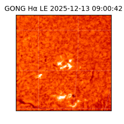 gong - 2025-12-13T09:00:42