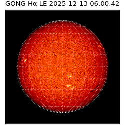 gong - 2025-12-13T06:00:42