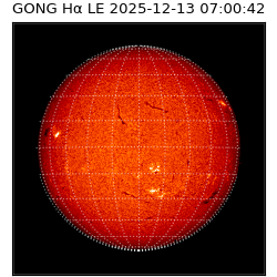 gong - 2025-12-13T07:00:42