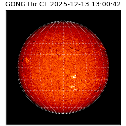 gong - 2025-12-13T13:00:42