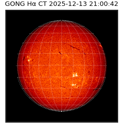 gong - 2025-12-13T21:00:42