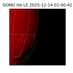 gong - 2025-12-14T01:00:42